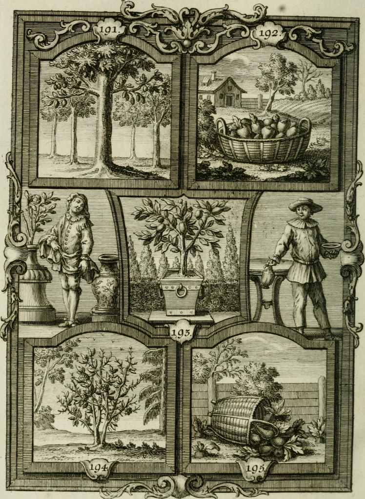 An illustration from Güldene Aepfel in silbernen Schalen, das ist, Worte geredet zu seiner Zeit über 400 Sinnbilder von allerley Zeiten und Umständen des menschlichen Lebens zu Beförderung der Erbauung, 1746, leaf 125