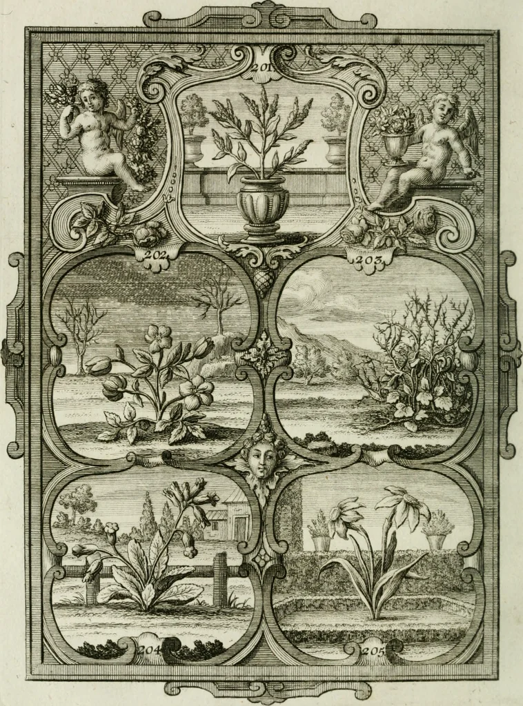 An illustration from Güldene Aepfel in silbernen Schalen, das ist, Worte geredet zu seiner Zeit über 400 Sinnbilder von allerley Zeiten und Umständen des menschlichen Lebens zu Beförderung der Erbauung, 1746, leaf 131