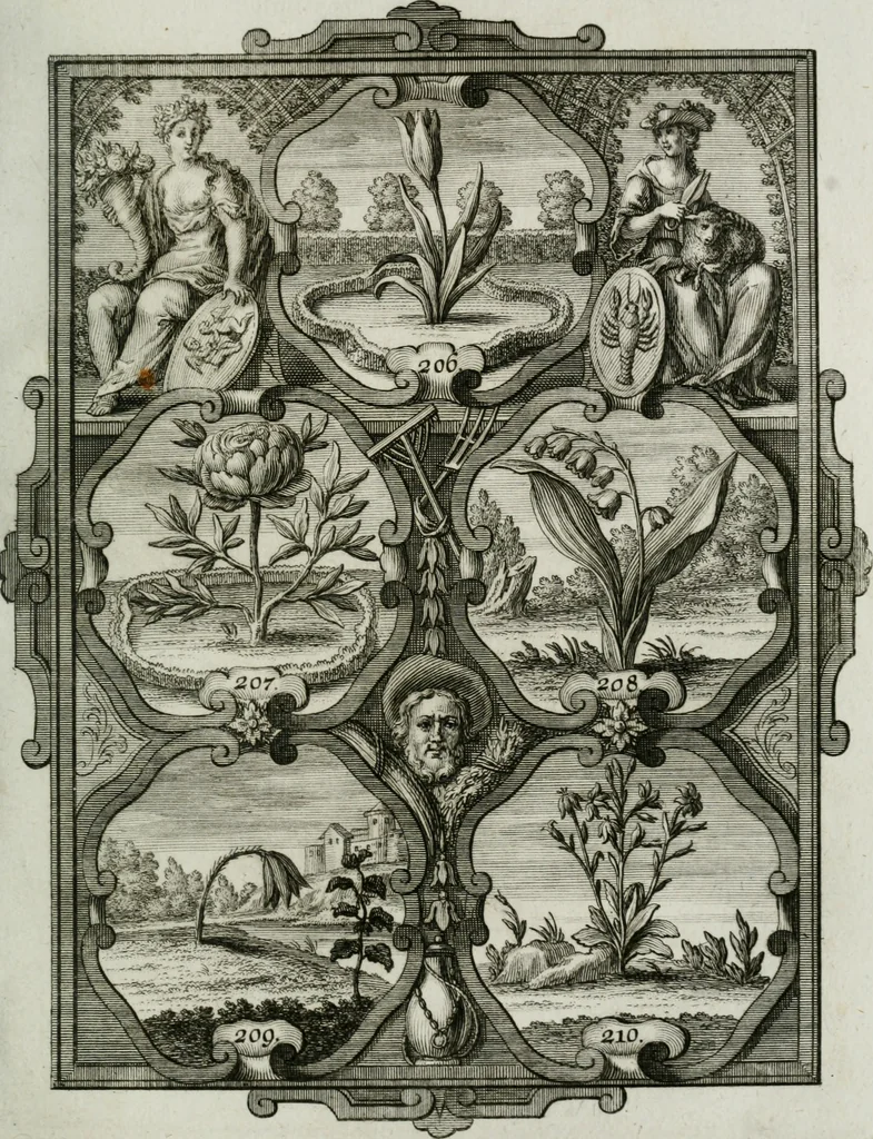An illustration from Güldene Aepfel in silbernen Schalen, das ist, Worte geredet zu seiner Zeit über 400 Sinnbilder von allerley Zeiten und Umständen des menschlichen Lebens zu Beförderung der Erbauung, 1746, leaf 134