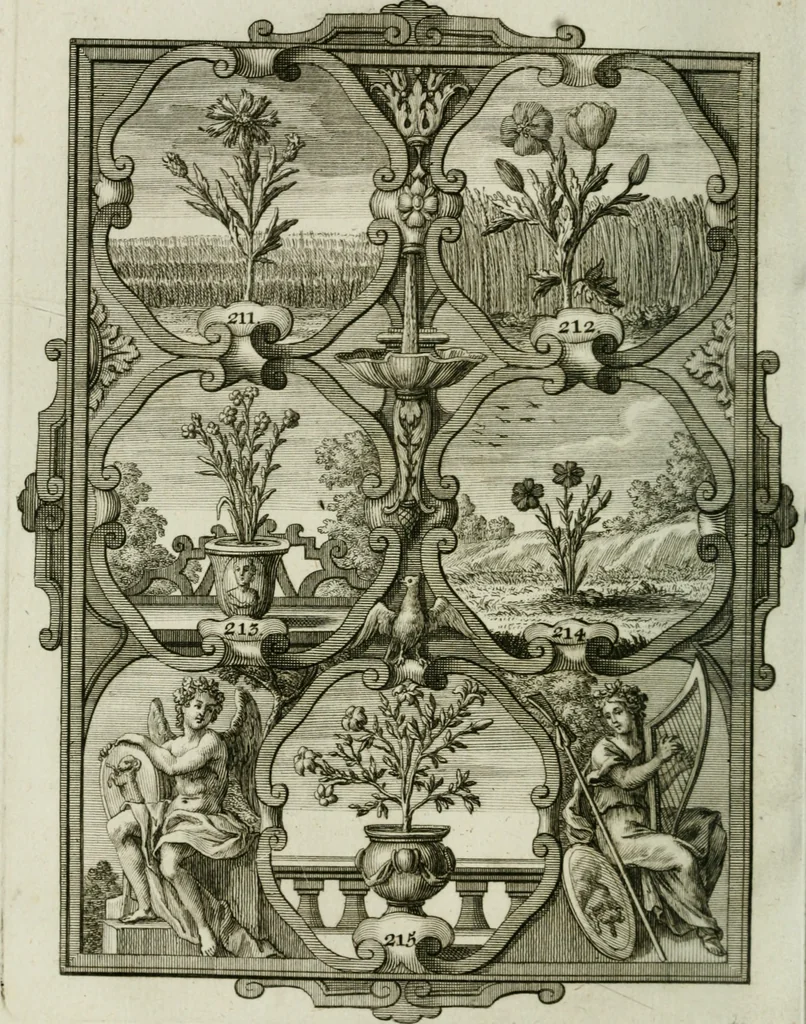 An illustration from Güldene Aepfel in silbernen Schalen, das ist, Worte geredet zu seiner Zeit über 400 Sinnbilder von allerley Zeiten und Umständen des menschlichen Lebens zu Beförderung der Erbauung, 1746, leaf 137