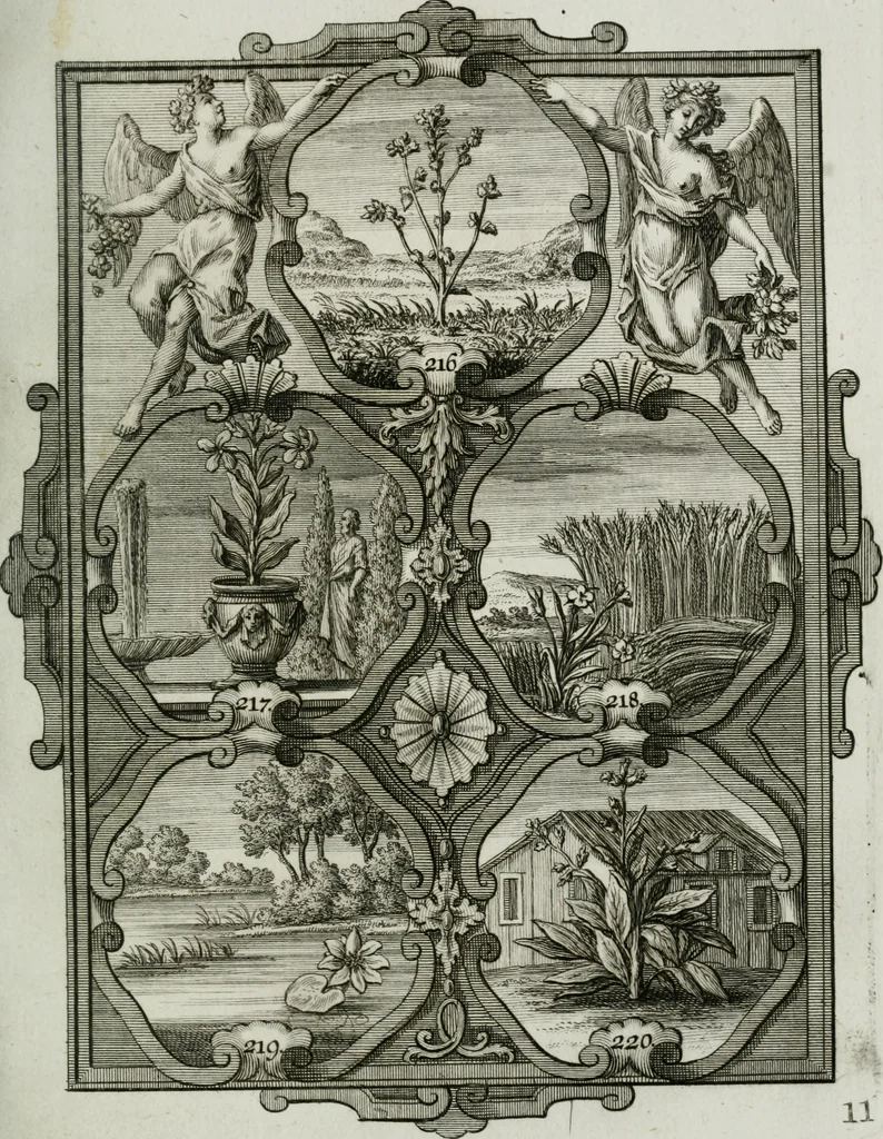 An illustration from Güldene Aepfel in silbernen Schalen, das ist, Worte geredet zu seiner Zeit über 400 Sinnbilder von allerley Zeiten und Umständen des menschlichen Lebens zu Beförderung der Erbauung, 1746, leaf 140