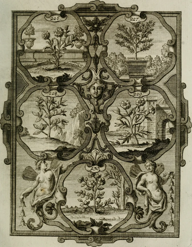 An illustration from Güldene Aepfel in silbernen Schalen, das ist, Worte geredet zu seiner Zeit über 400 Sinnbilder von allerley Zeiten und Umständen des menschlichen Lebens zu Beförderung der Erbauung, 1746, leaf 146