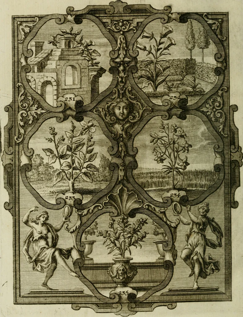 An illustration from Güldene Aepfel in silbernen Schalen, das ist, Worte geredet zu seiner Zeit über 400 Sinnbilder von allerley Zeiten und Umständen des menschlichen Lebens zu Beförderung der Erbauung, 1746, leaf 149