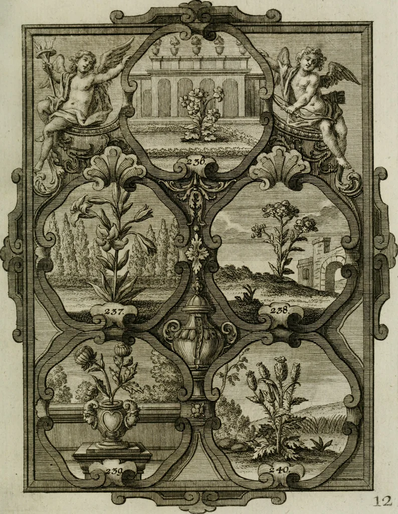 An illustration from Güldene Aepfel in silbernen Schalen, das ist, Worte geredet zu seiner Zeit über 400 Sinnbilder von allerley Zeiten und Umständen des menschlichen Lebens zu Beförderung der Erbauung, 1746, leaf 152