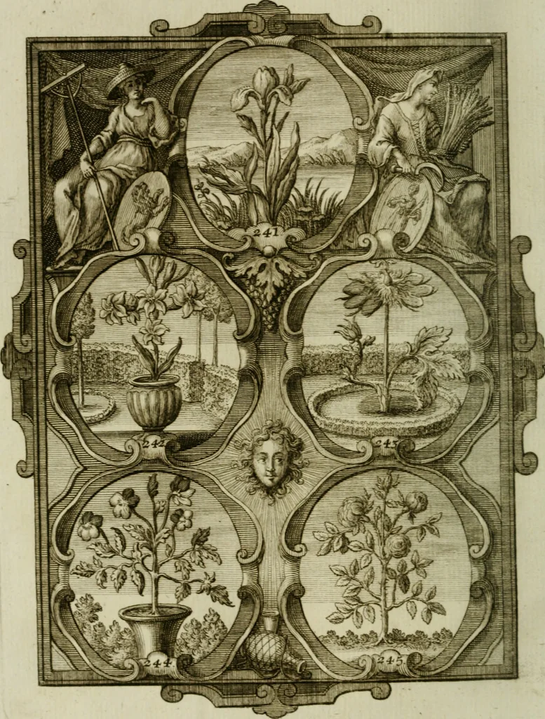 An illustration from Güldene Aepfel in silbernen Schalen, das ist, Worte geredet zu seiner Zeit über 400 Sinnbilder von allerley Zeiten und Umständen des menschlichen Lebens zu Beförderung der Erbauung, 1746, leaf 155