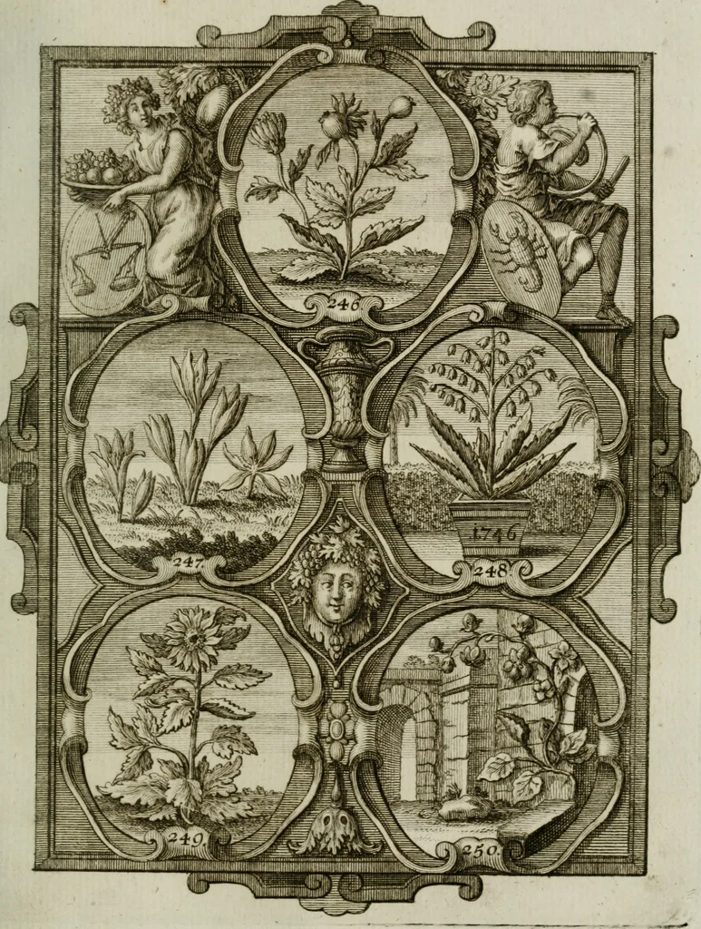 An illustration from Güldene Aepfel in silbernen Schalen, das ist, Worte geredet zu seiner Zeit über 400 Sinnbilder von allerley Zeiten und Umständen des menschlichen Lebens zu Beförderung der Erbauung, 1746, leaf 158