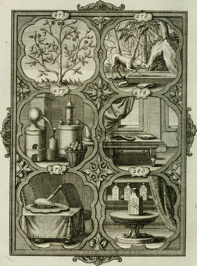 An illustration from Güldene Aepfel in silbernen Schalen, das ist, Worte geredet zu seiner Zeit über 400 Sinnbilder von allerley Zeiten und Umständen des menschlichen Lebens zu Beförderung der Erbauung, 1746, leaf 173