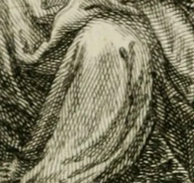 An illustration from Güldene Aepfel in silbernen Schalen, das ist, Worte geredet zu seiner Zeit über 400 Sinnbilder von allerley Zeiten und Umständen des menschlichen Lebens zu Beförderung der Erbauung, 1746, leaf 5