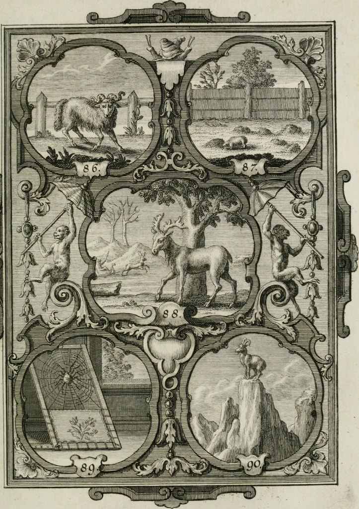 An illustration from Güldene Aepfel in silbernen Schalen, das ist, Worte geredet zu seiner Zeit über 400 Sinnbilder von allerley Zeiten und Umständen des menschlichen Lebens zu Beförderung der Erbauung, 1746, leaf 62