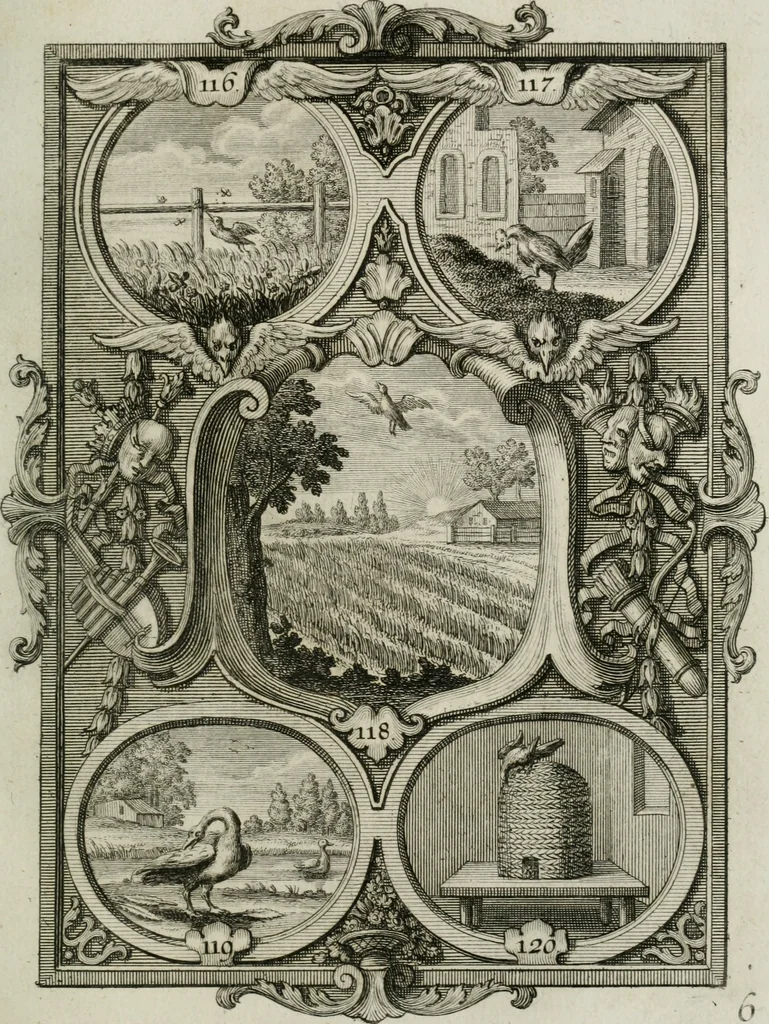 An illustration from Güldene Aepfel in silbernen Schalen, das ist, Worte geredet zu seiner Zeit über 400 Sinnbilder von allerley Zeiten und Umständen des menschlichen Lebens zu Beförderung der Erbauung, 1746, leaf 80
