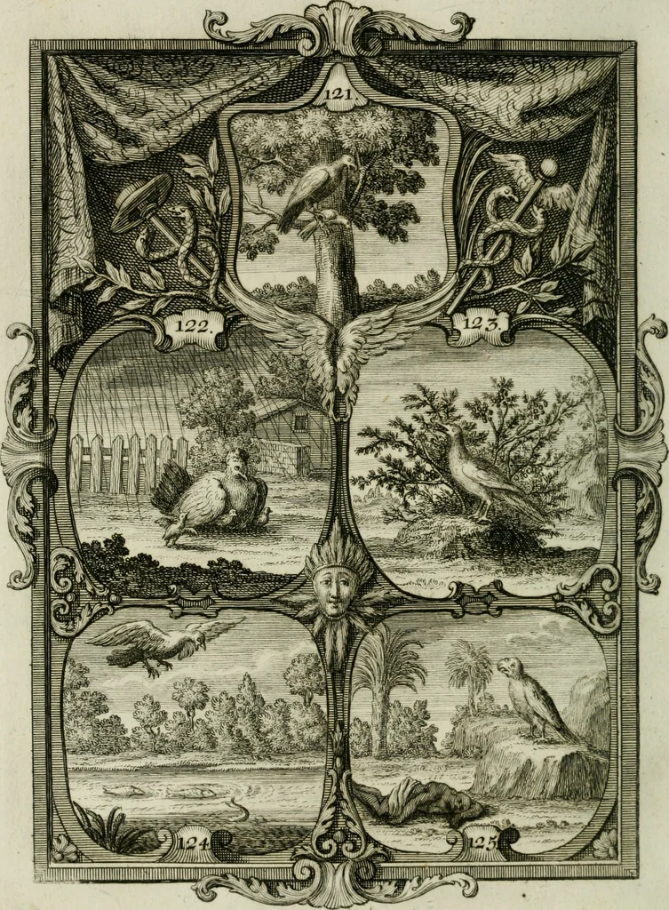 An illustration from Güldene Aepfel in silbernen Schalen, das ist, Worte geredet zu seiner Zeit über 400 Sinnbilder von allerley Zeiten und Umständen des menschlichen Lebens zu Beförderung der Erbauung, 1746, leaf 83