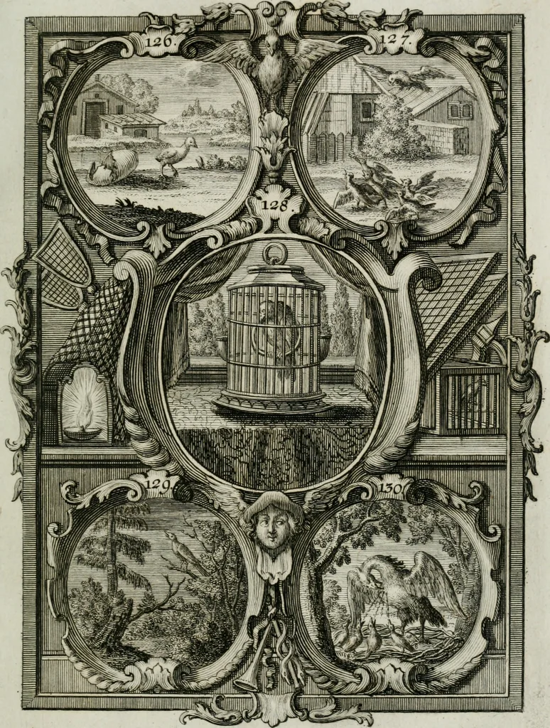 An illustration from Güldene Aepfel in silbernen Schalen, das ist, Worte geredet zu seiner Zeit über 400 Sinnbilder von allerley Zeiten und Umständen des menschlichen Lebens zu Beförderung der Erbauung, 1746, leaf 86