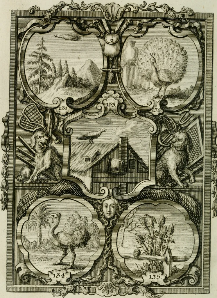 An illustration from Güldene Aepfel in silbernen Schalen, das ist, Worte geredet zu seiner Zeit über 400 Sinnbilder von allerley Zeiten und Umständen des menschlichen Lebens zu Beförderung der Erbauung, 1746, leaf 89