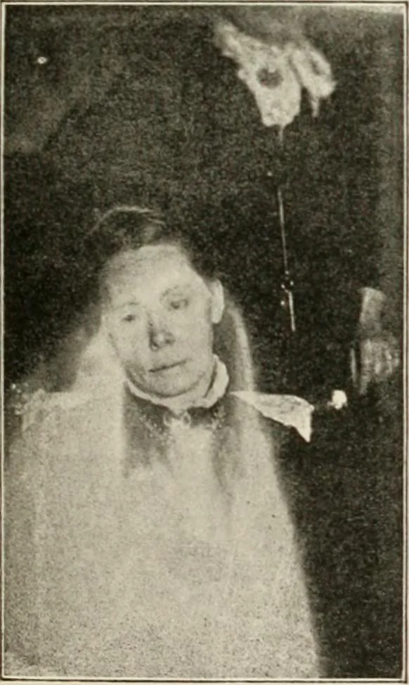 An illustration from Gleams of light and glimpses thro' the rift, 1893, leaf 314
