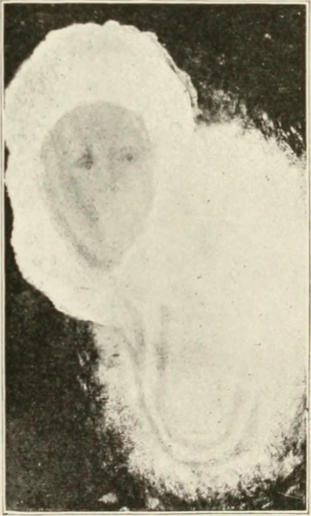 An illustration from Gleams of light and glimpses thro' the rift, 1893, leaf 318