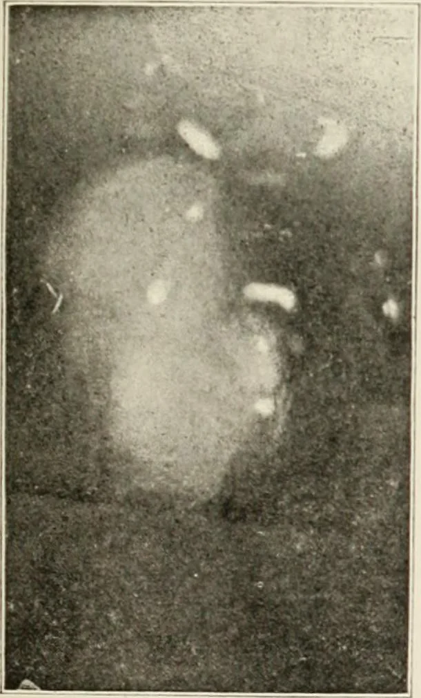 An illustration from Gleams of light and glimpses thro' the rift, 1893, leaf 330