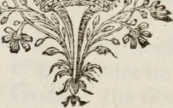 An illustration from Gleanings of antiquities, 1724, leaf 200