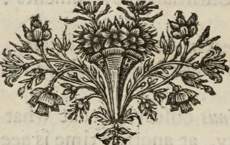An illustration from Gleanings of antiquities, 1724, leaf 219