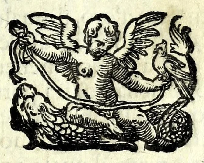 An illustration from Gli affetti giovenili : opera morale, 1605, leaf 117