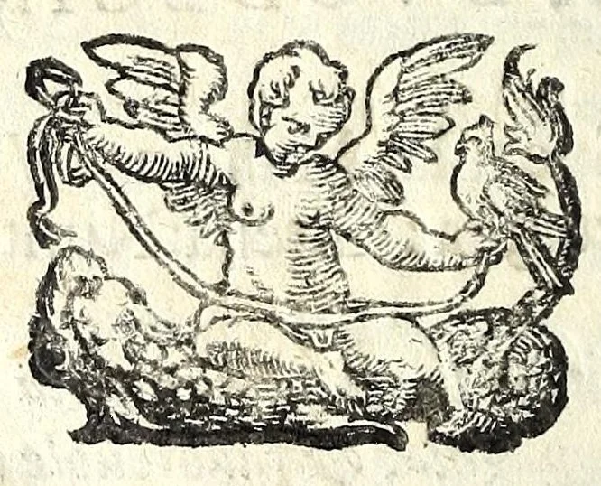 An illustration from Gli affetti giovenili : opera morale, 1605, leaf 176