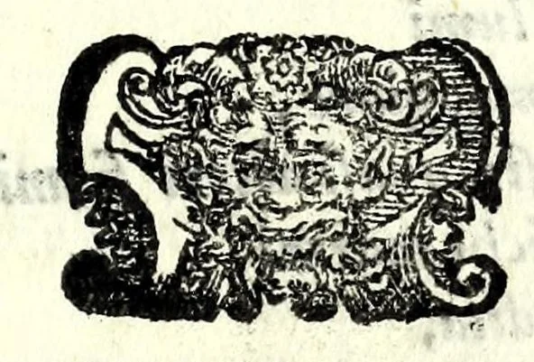 An illustration from Gli affetti giovenili : opera morale, 1605, leaf 185