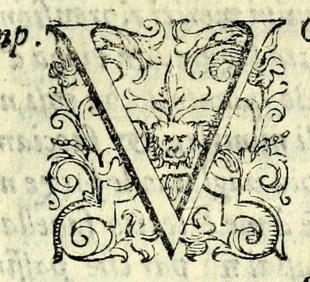 An illustration from Gli affetti giovenili : opera morale, 1605, leaf 33