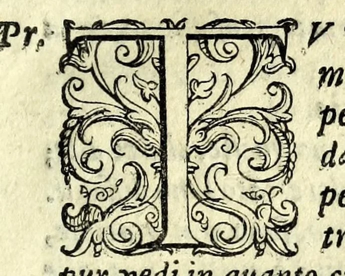 An illustration from Gli affetti giovenili : opera morale, 1605, leaf 97