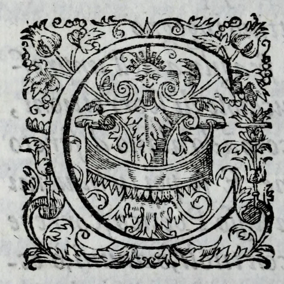 An illustration from Gli amici eroi : favola tragicomica boscareccia, 1628, leaf 16