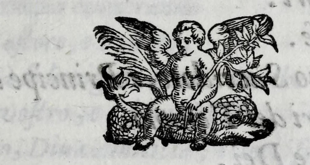 An illustration from Gli amici eroi : favola tragicomica boscareccia, 1628, leaf 19