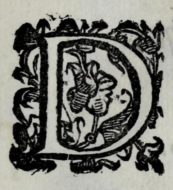 An illustration from Gli amorosi affanni : favola pastorale, 1606, leaf 157
