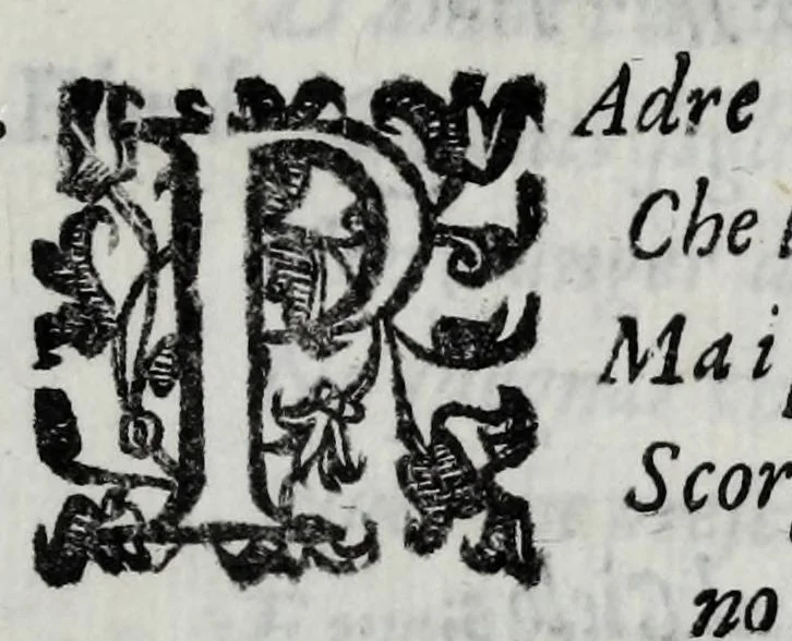 An illustration from Gli amorosi affanni : favola pastorale, 1606, leaf 199