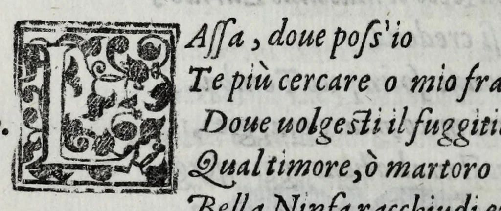 An illustration from Gli amorosi affanni : favola pastorale, 1606, leaf 220