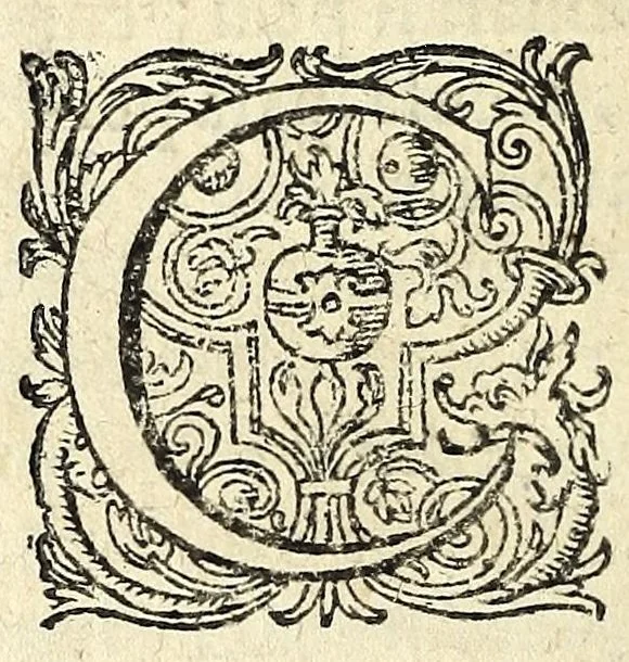 An illustration from Gli amorosi inganni : comedia piacevole, 1609, leaf 114