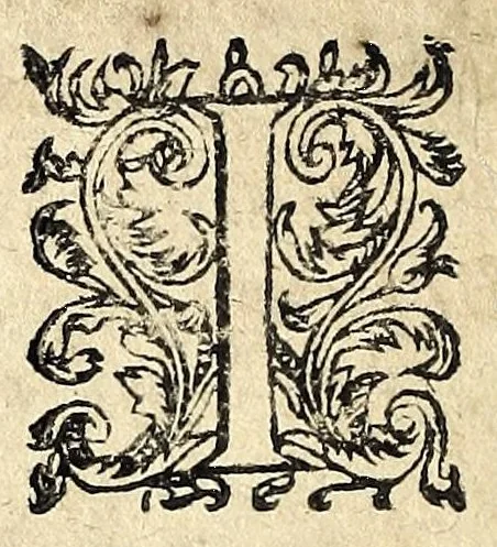 An illustration from Gli amorosi inganni : comedia piacevole, 1609, leaf 178