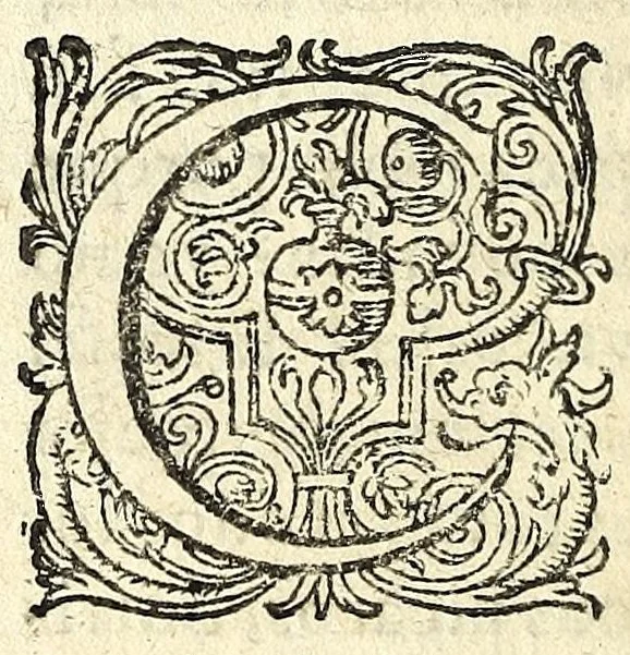 An illustration from Gli amorosi inganni : comedia piacevole, 1609, leaf 78