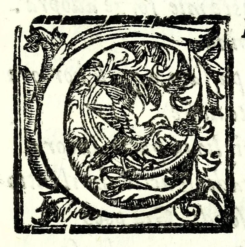 An illustration from Gli amorosi sospetti : favola pastorale, 1605, leaf 137