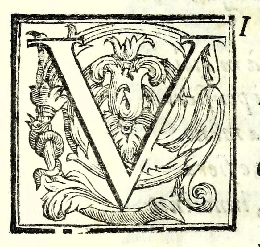 An illustration from Gli amorosi sospetti : favola pastorale, 1605, leaf 55