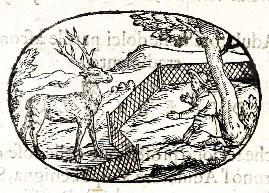 An illustration from Gli apologi del signor Giulio Cesare Capaccio, gentil'huomo del serenissimo signor duca d'Vrbino; con le Dicerie morali, oue quasi con viui colori al modo cortegiano l'humana vita si dipinge, la malignità si scopre, la bizzarria de' ceruelli si castiga, la frode si scaccia, la mattezza si punisce, al poco saper di gli huomini si prouede, e di tutti i ciuili costumi si fà paragone, 1619, leaf 126