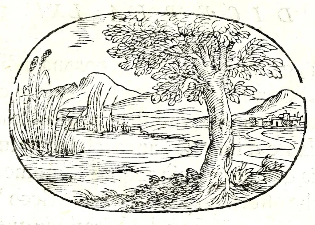 An illustration from Gli apologi del signor Giulio Cesare Capaccio, gentil'huomo del serenissimo signor duca d'Vrbino; con le Dicerie morali, oue quasi con viui colori al modo cortegiano l'humana vita si dipinge, la malignità si scopre, la bizzarria de' ceruelli si castiga, la frode si scaccia, la mattezza si punisce, al poco saper di gli huomini si prouede, e di tutti i ciuili costumi si fà paragone, 1619, leaf 129