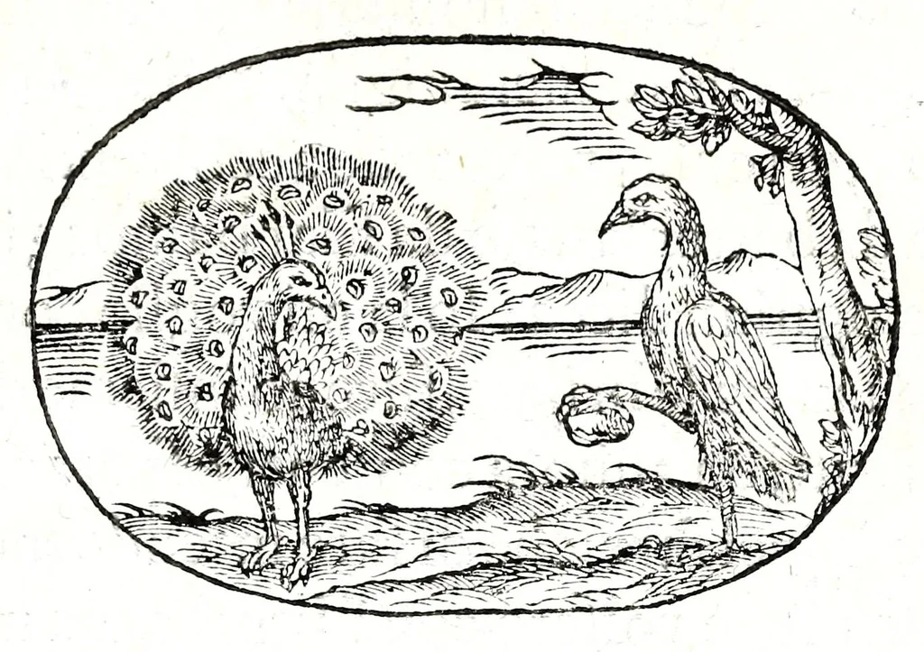 An illustration from Gli apologi del signor Giulio Cesare Capaccio, gentil'huomo del serenissimo signor duca d'Vrbino; con le Dicerie morali, oue quasi con viui colori al modo cortegiano l'humana vita si dipinge, la malignità si scopre, la bizzarria de' ceruelli si castiga, la frode si scaccia, la mattezza si punisce, al poco saper di gli huomini si prouede, e di tutti i ciuili costumi si fà paragone, 1619, leaf 37