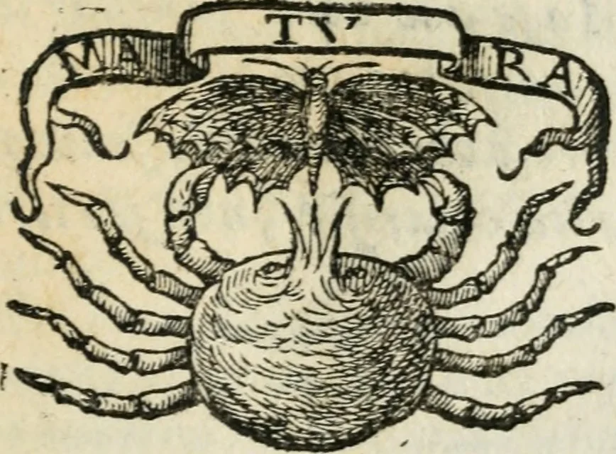An illustration from Gli apologi di Giulio Cesare Capaccio, secretario della fedelissima città di Napoli : con le Dicerie morali, 1607, leaf 124