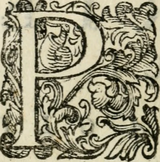 An illustration from Gli apologi di Giulio Cesare Capaccio, secretario della fedelissima città di Napoli : con le Dicerie morali, 1607, leaf 125