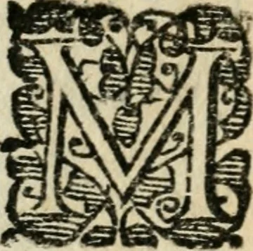 An illustration from Gli apologi di Giulio Cesare Capaccio, secretario della fedelissima città di Napoli : con le Dicerie morali, 1607, leaf 135