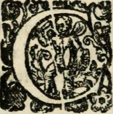 An illustration from Gli apologi di Giulio Cesare Capaccio, secretario della fedelissima città di Napoli : con le Dicerie morali, 1607, leaf 163