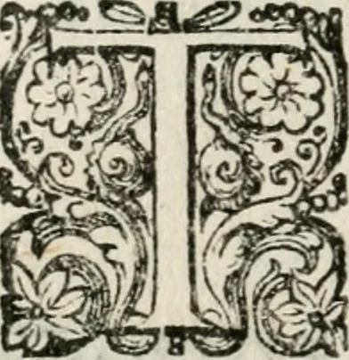 An illustration from Gli apologi di Giulio Cesare Capaccio, secretario della fedelissima città di Napoli : con le Dicerie morali, 1607, leaf 185