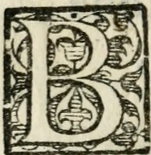An illustration from Gli apologi di Giulio Cesare Capaccio, secretario della fedelissima città di Napoli : con le Dicerie morali, 1607, leaf 197