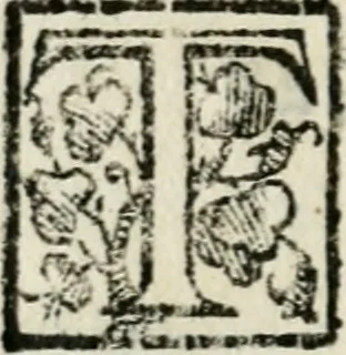 An illustration from Gli apologi di Giulio Cesare Capaccio, secretario della fedelissima città di Napoli : con le Dicerie morali, 1607, leaf 209