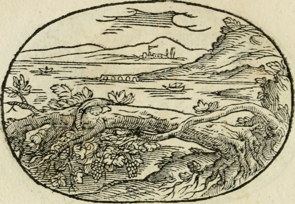 An illustration from Gli apologi di Giulio Cesare Capaccio, secretario della fedelissima città di Napoli : con le Dicerie morali, 1607, leaf 37