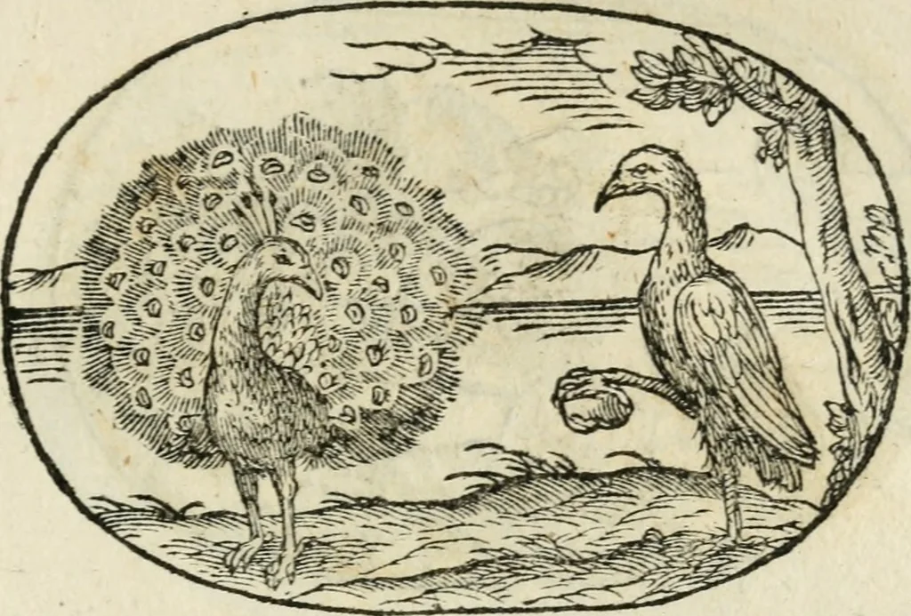 An illustration from Gli apologi di Giulio Cesare Capaccio, secretario della fedelissima città di Napoli : con le Dicerie morali, 1607, leaf 38