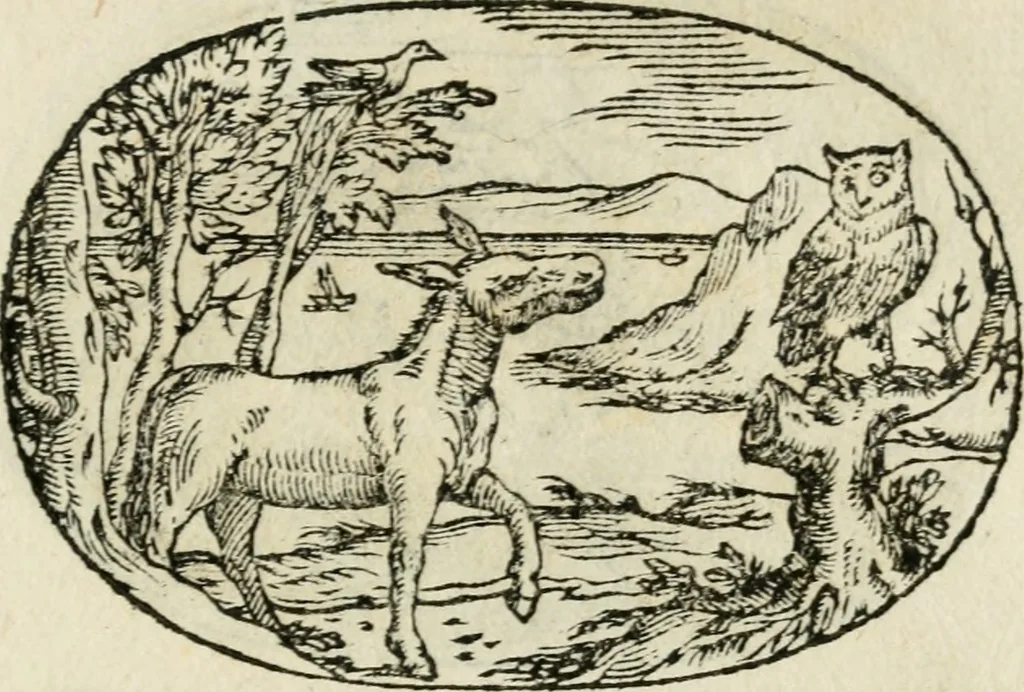 An illustration from Gli apologi di Giulio Cesare Capaccio, secretario della fedelissima città di Napoli : con le Dicerie morali, 1607, leaf 40